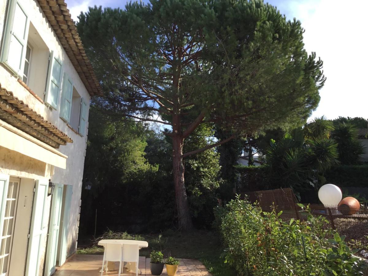 Villa Alessia Antibes Exterior photo