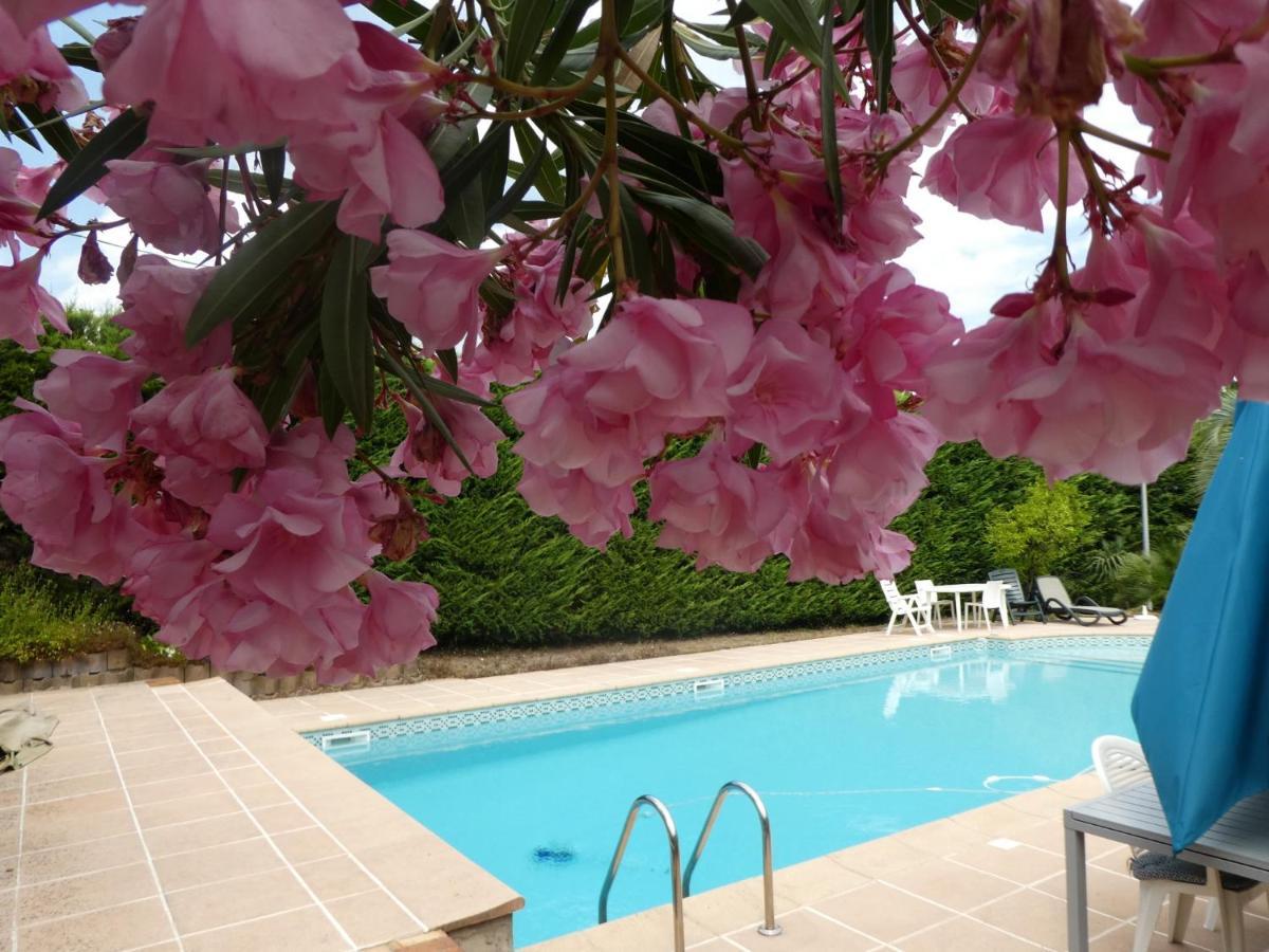 Villa Alessia Antibes Exterior photo