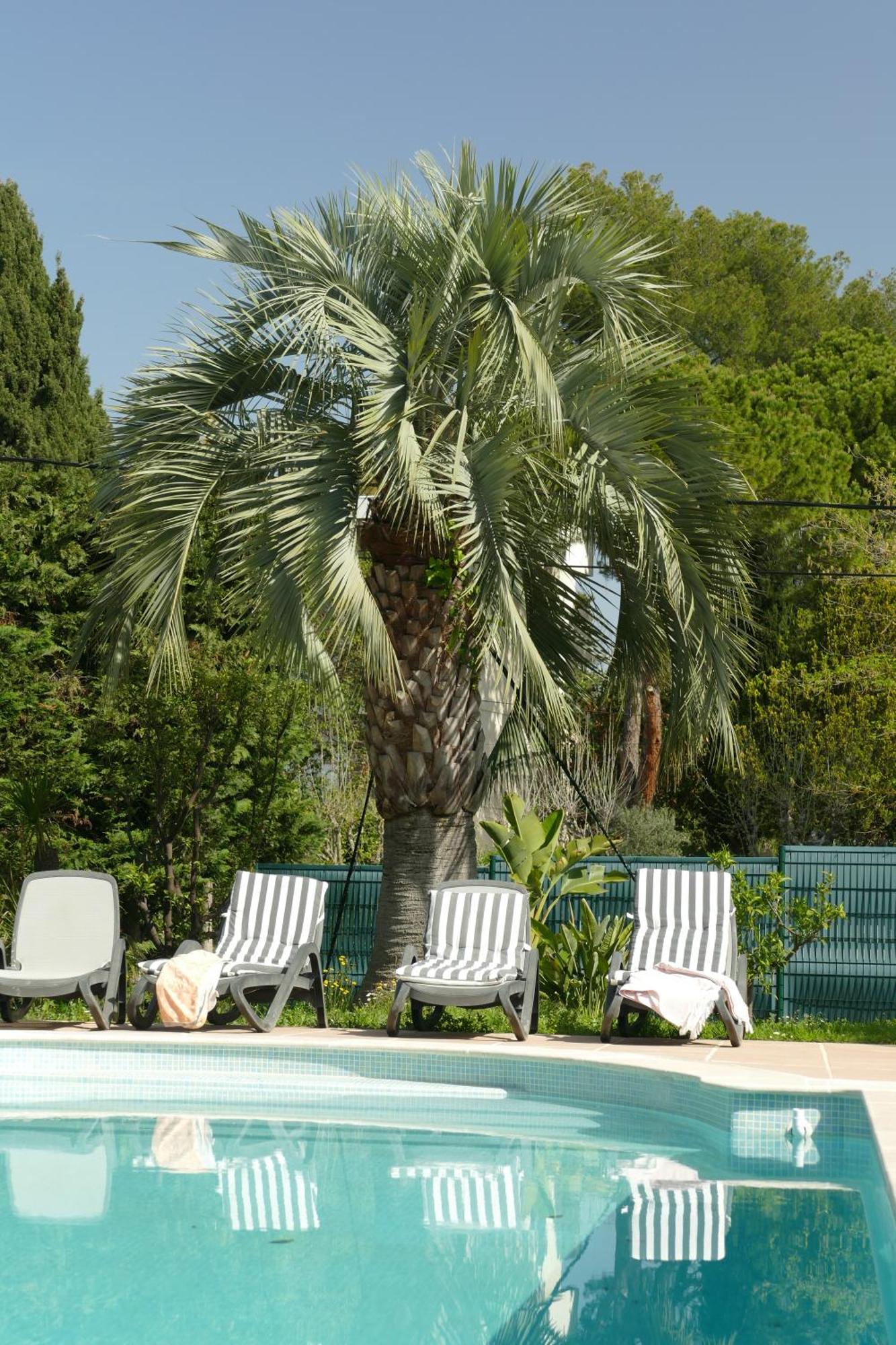 Villa Alessia Antibes Exterior photo