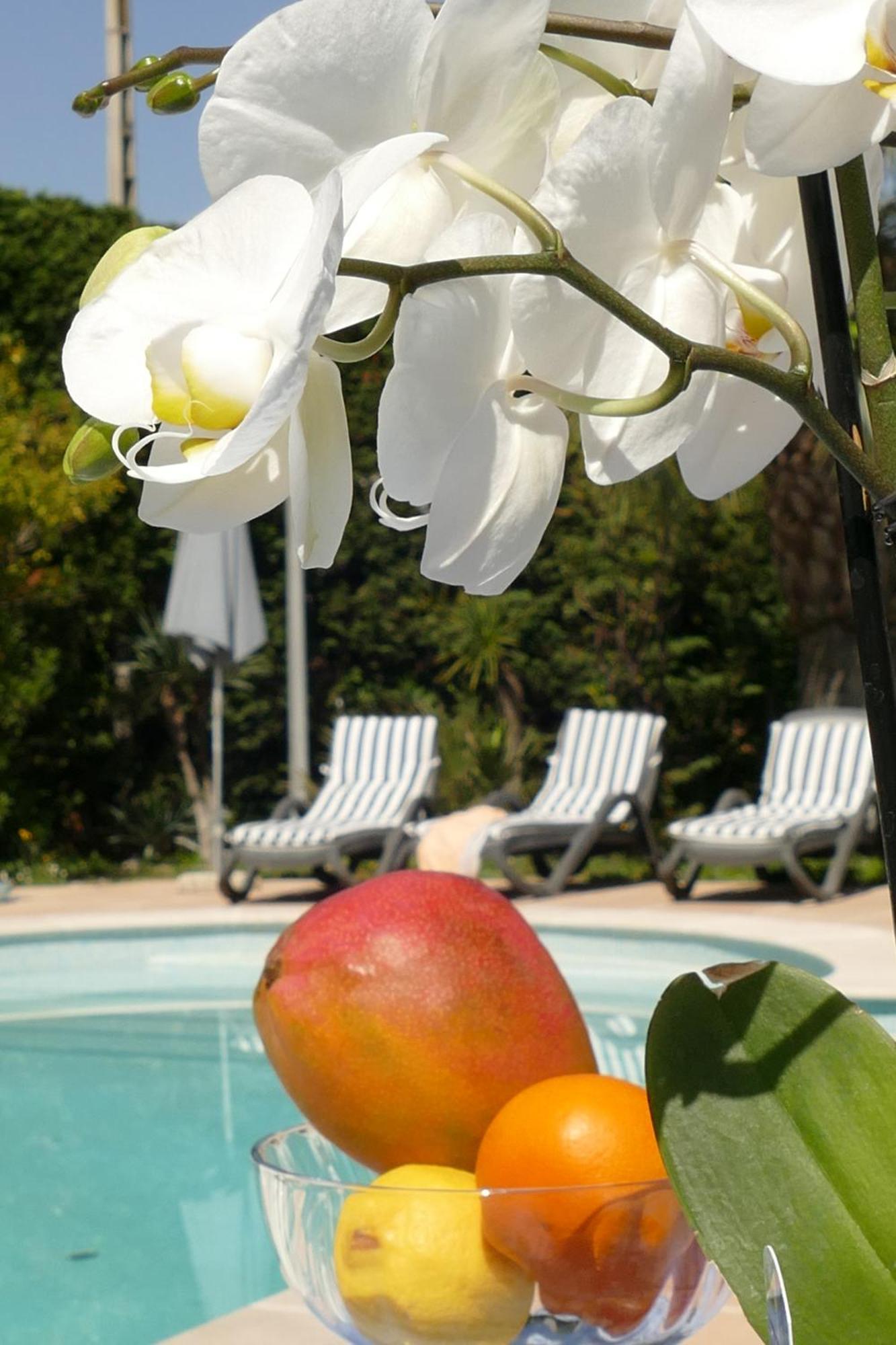 Villa Alessia Antibes Exterior photo